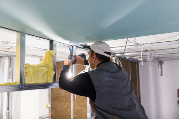 Best Home Insulation Services  in Fairview, OK