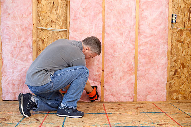 Best Insulation Removal  in Fairview, OK